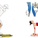 Yoga e Golf. La funzione degli adduttori dell'anca