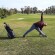 Yoga per il Golf: 5 elementi in cui lo yoga può supportare il golf